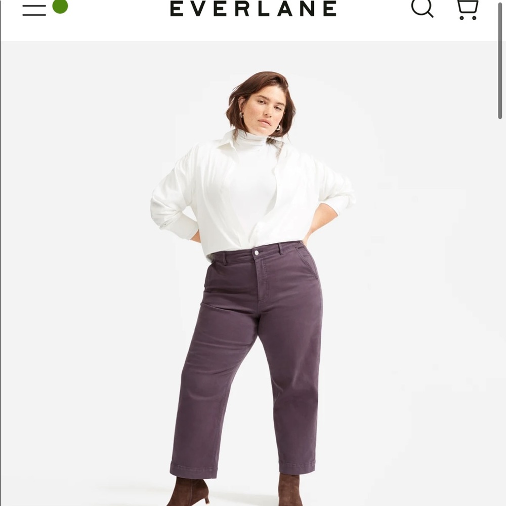 The Straight-Leg Crop Everlane , size 0 , shadow color